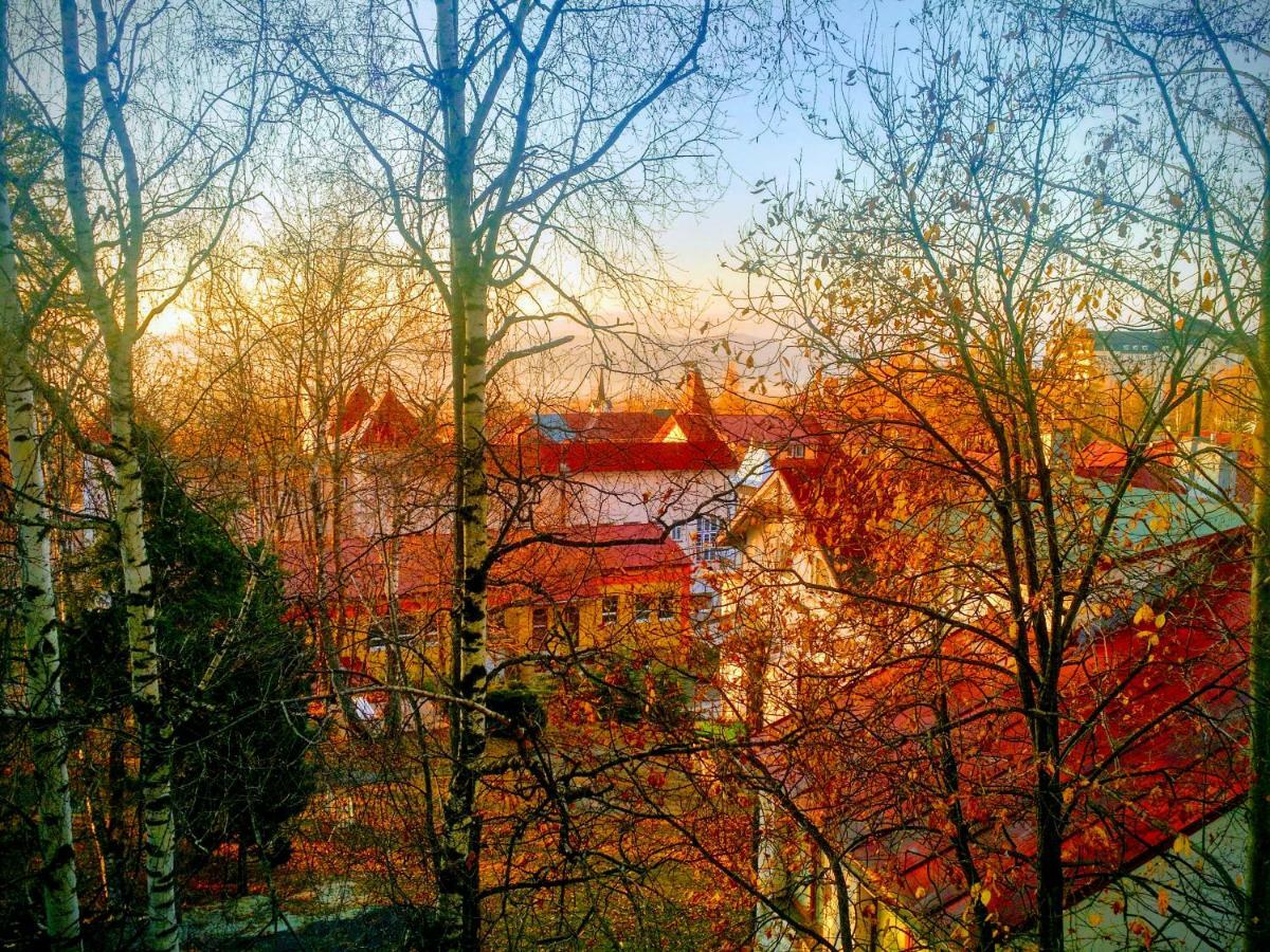 Apartment Lucy - Primo Tatry Stary Smokovec Vysoké Tatry 外观 照片